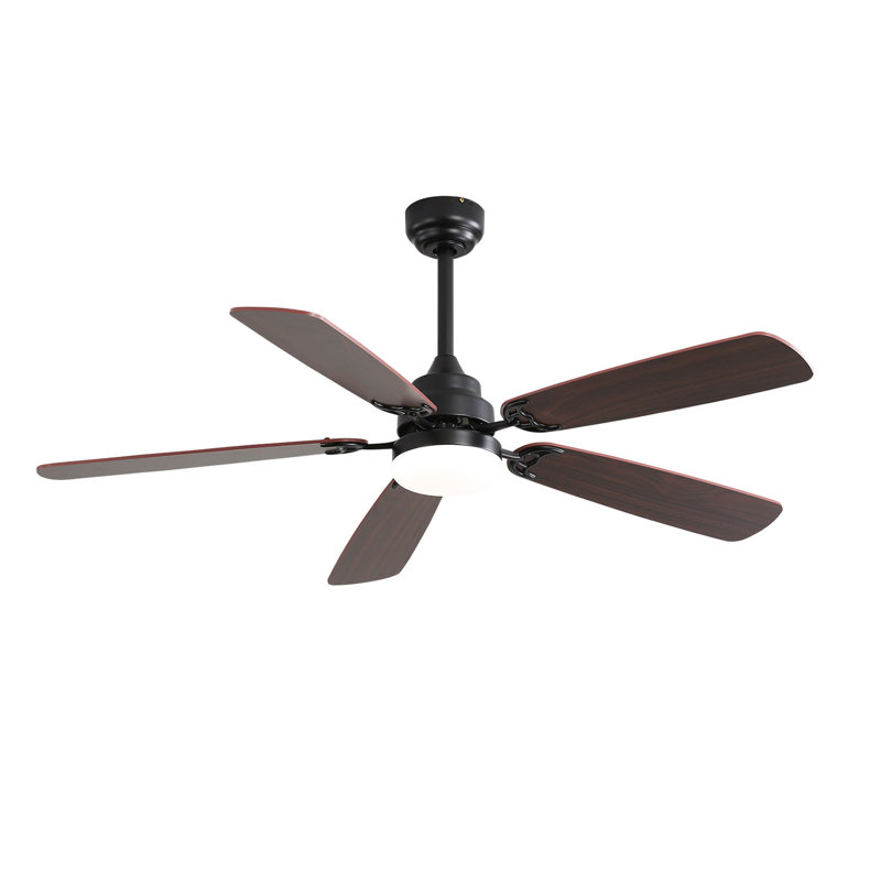 Lieschen 52'' Ceiling Fan with LED Lights, Black, Brown