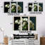 Green Orchids Realistic Elegance I - Ensemble de décorations murales Orchidées-107764652-107764658
