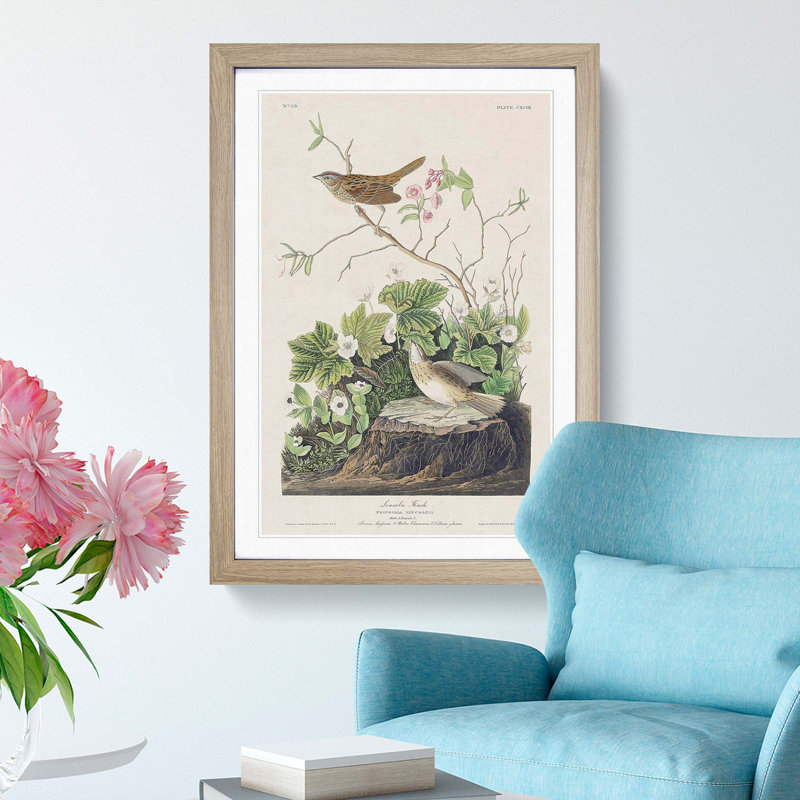 Lincoln Finch Birds by John Audubon - Picture Frame Painting Print, Oak Framed, 48cm H x 36cm W x 2cm D