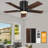 Ludgerus 42'' Black/Walnut Ceiling Fan with LED Light and Remote Control