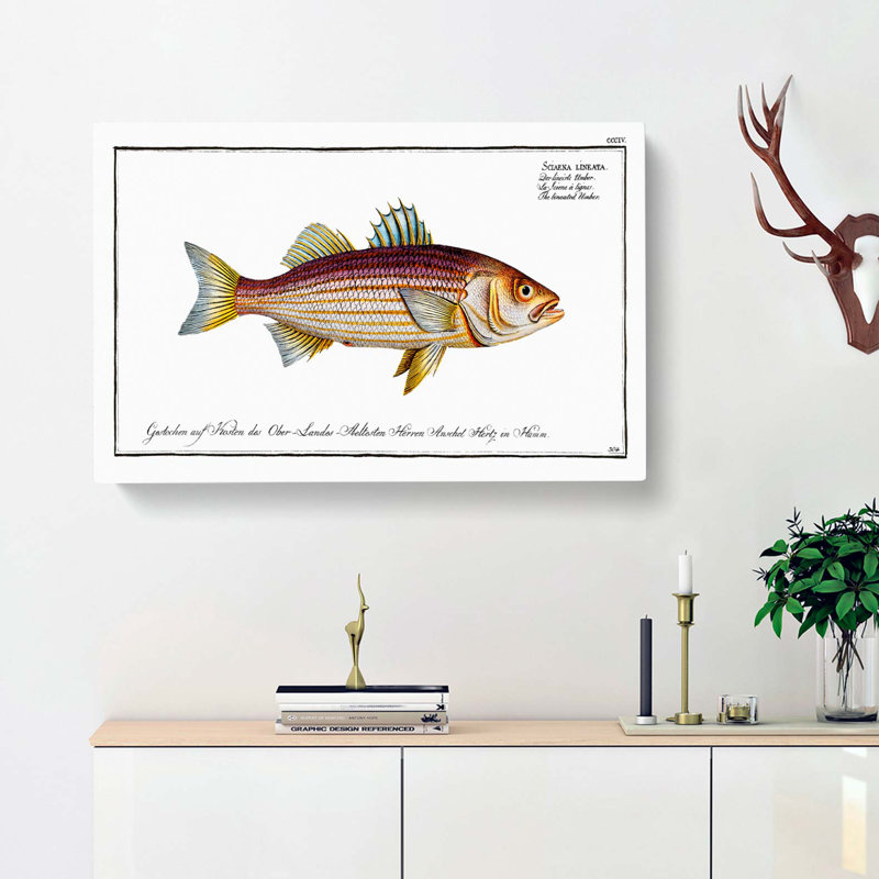 Lineated Umber Fish by M.E. Bloch - Wrapped Canvas, 40cm H x 60cm W x 3cm D