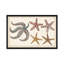 Étoile de mer Naturelle II par Denis Diderot - impression sur toile tendue-28198167-72581684-72581690