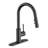 Vetta Pull Down Kitchen Faucet-100749374