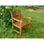 Izaguirre Patio Dining Armchair with Cushion