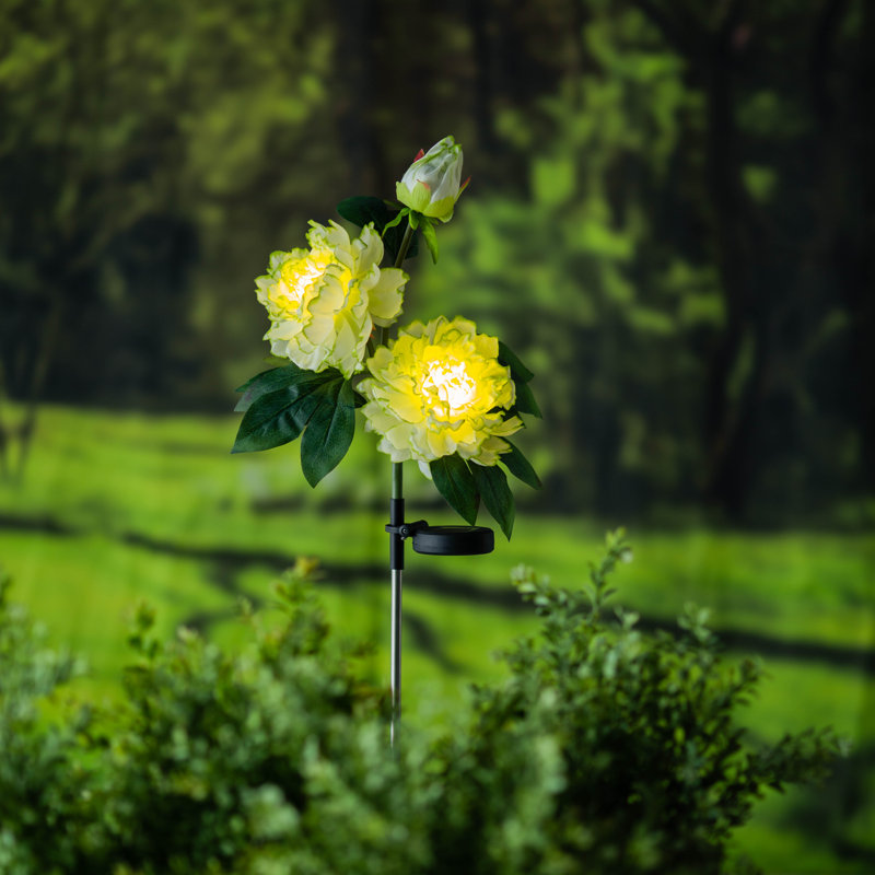 Piquet de jardin Lassandra Paeonia