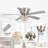 Capitol 48'' Ceiling Fan with Light Kit-1342446028