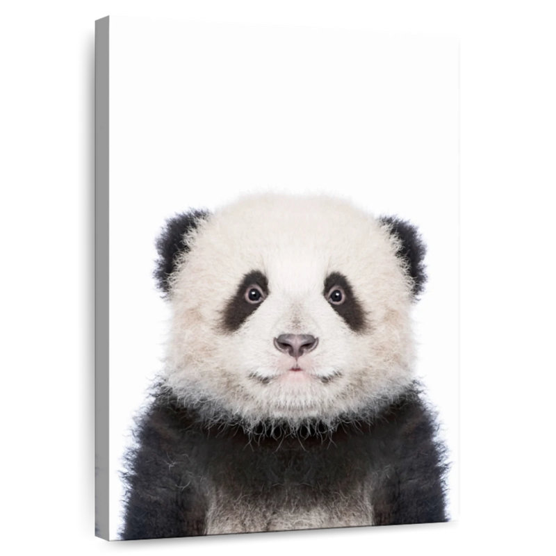 Portrait de panda Brampt, H 45 po x l 30 po