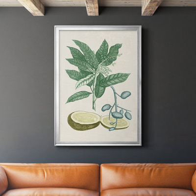 Buchoz Tropicals IV, reproduction d'art encadrée