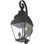 Luminaire suspendu pour lanterne murale d'extérieur 8 pouces 8 lumières - Abat-jour en verre transparent-101230714