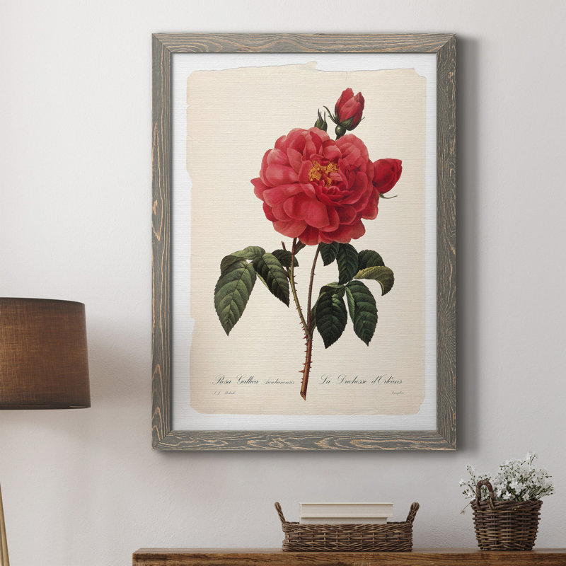 Red Botanical III - cadre photo, impression sur toile, H 31,5 po x l 23,5 po x P 1,5 po, Toile avec cadre gris