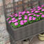 Brinskelle Wood Elevated Planter with Trellis