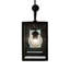Ardehs 3 - Light Chandelier