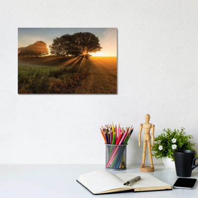 Sunbeams 1 Piece Wrapped Canvas Wall Art
