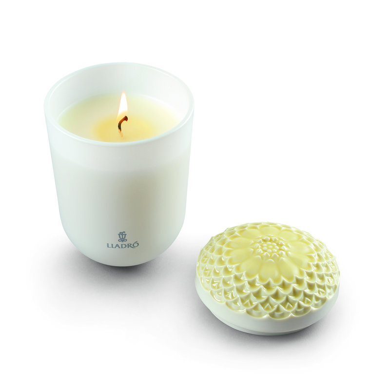 Bougie parfumée Echoes of Nature