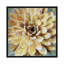 «Succulent II», impression sur toile-28627761-72446542-72446541