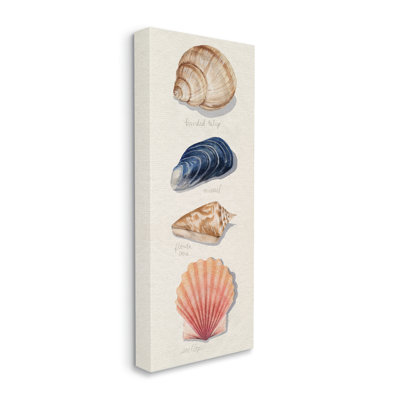 Coquille de mer douce «Ocean Life» par Grace Popp - impression