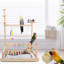 25.5'' Wood Bird Play Gym for Table Top