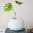 Textured Composite Resin Planter/Vase, Antique White