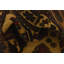 Tapis olive Orcutt