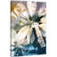 Parvez Taj - Wrapped Canvas Print-16672414