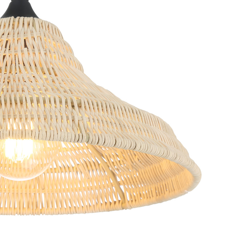 Hunter Agoura 1 Light Medium Pendant Ceiling Light Fixture