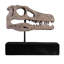 Statue de crâne de dinosaure Raptor