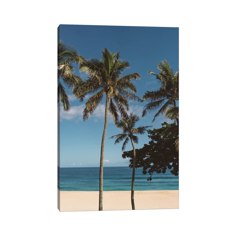 Hawaiian Palms VI by Bethany Young - Print on Canvas, 30.48cm H x 20.32cm W x 1.91cm D, Wrapped Canvas