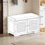Banc de rangement pour chaussures avec siège rembourré et armoire à 2 portes - Organisateur de chaussures et banc de rangement pour chaussures