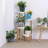 Abdikarin Plant Stand