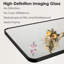 Runhild Aluminum Rectangle Floor Mirror with Hooks