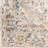 Flatiron Oriental Indoor Rug-1381971162