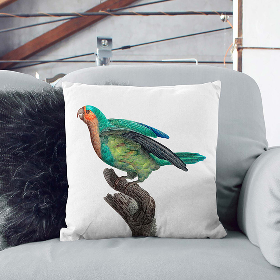 A Crowned Parakeet by F. Levaillant Cushion with Filling