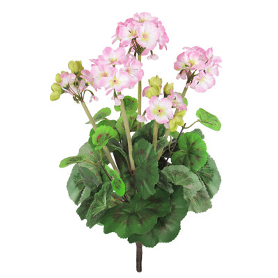 Geranium Arrangement