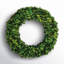 Alby Preserved Boxwood Real Greenery Wreath-227551723