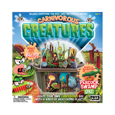 Toys By Nature 1 Player S.T.E.M. Game