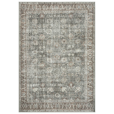 Oriental Indoor Rug