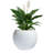 Dorlis Fiberstone Pot Planter-331591452-331591455