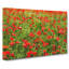 Field Of Poppies Vol.2 - Wrapped Canvas Painting-61876805