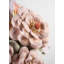Vase With Flowers-331979793