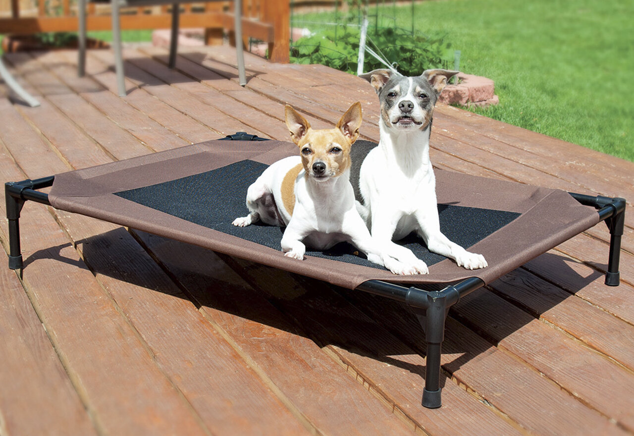 Durable Dog Beds For Every Breed 2024 Wayfair   Durable Dog Beds For Every Breed 