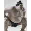 Sumo Fighter