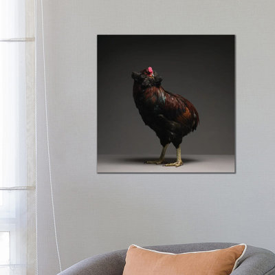 Araucana - Wrapped Canvas Print