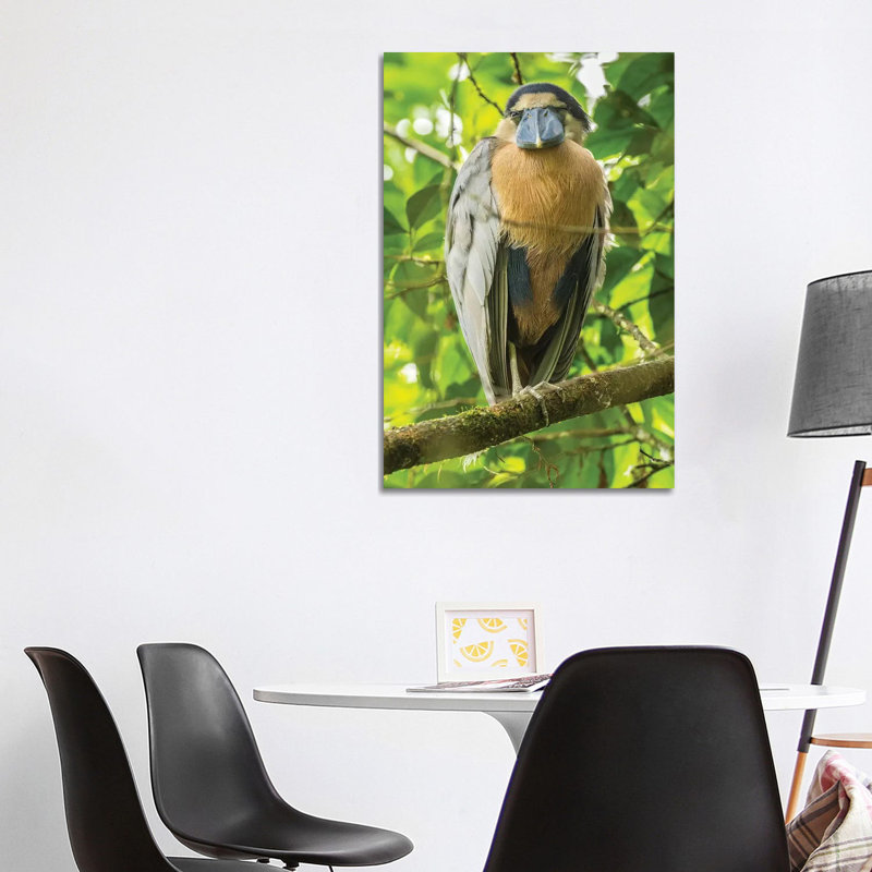 Costa Rica by Jaynes Gallery - Wrapped Canvas Gallery-Wrapped Canvas Giclée, 101.6cm H x 66.04cm W
