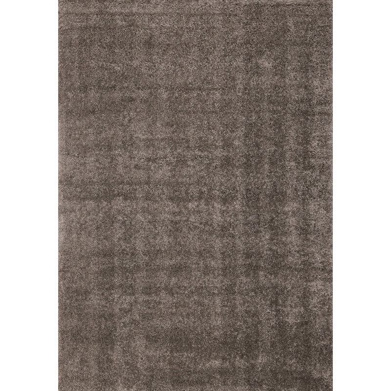 Tapis à poils longs Jayceonna, Rectangle 5 pi 3 po x 7 pi 7 po