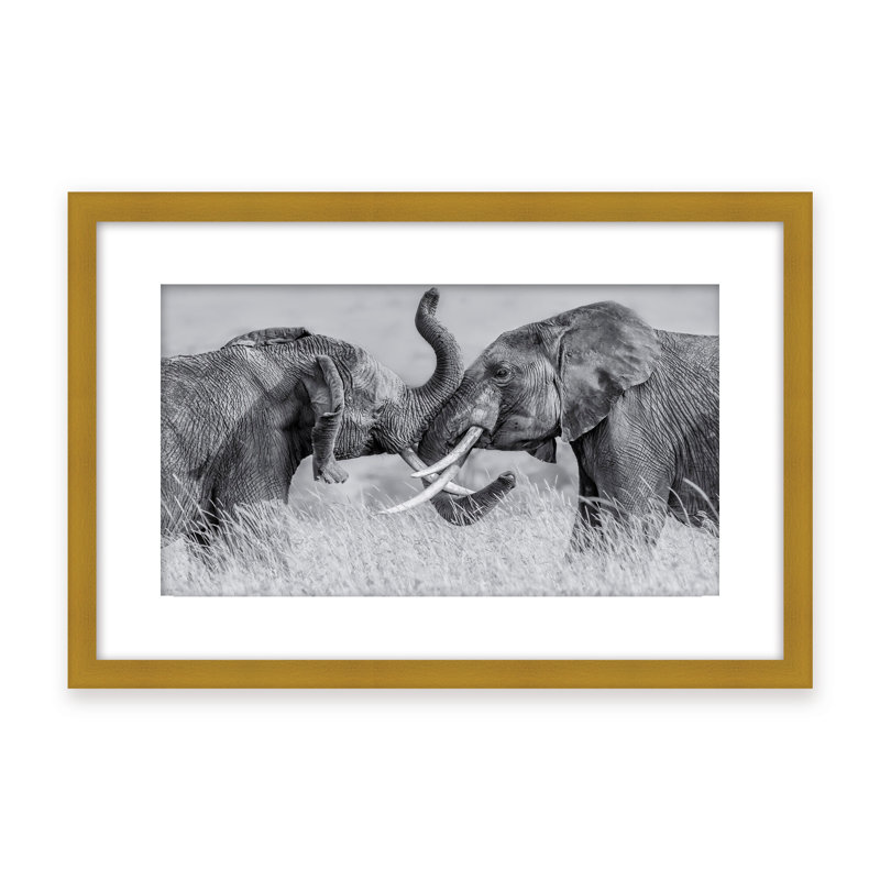 Nature Inspired Elephant Tai Chi by  - Picture Frame Photograph on Paper, 16" H x 24" W x 1.125" D, Black