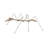 Spoon Ant