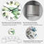 Délicate feuille d'eucalyptus - Horloge murale tropicale-394774892