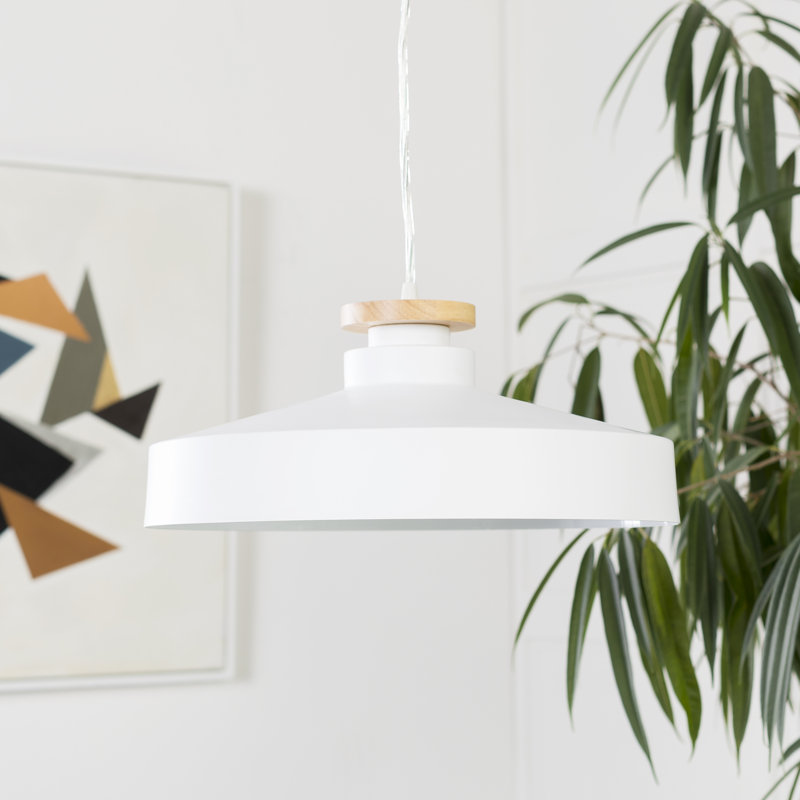 Bock 1 - Light Single Pendant