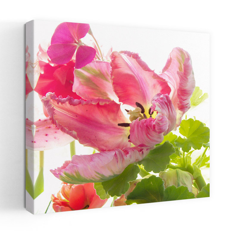 Perroquet tulipe, H 24 po x l 24 po