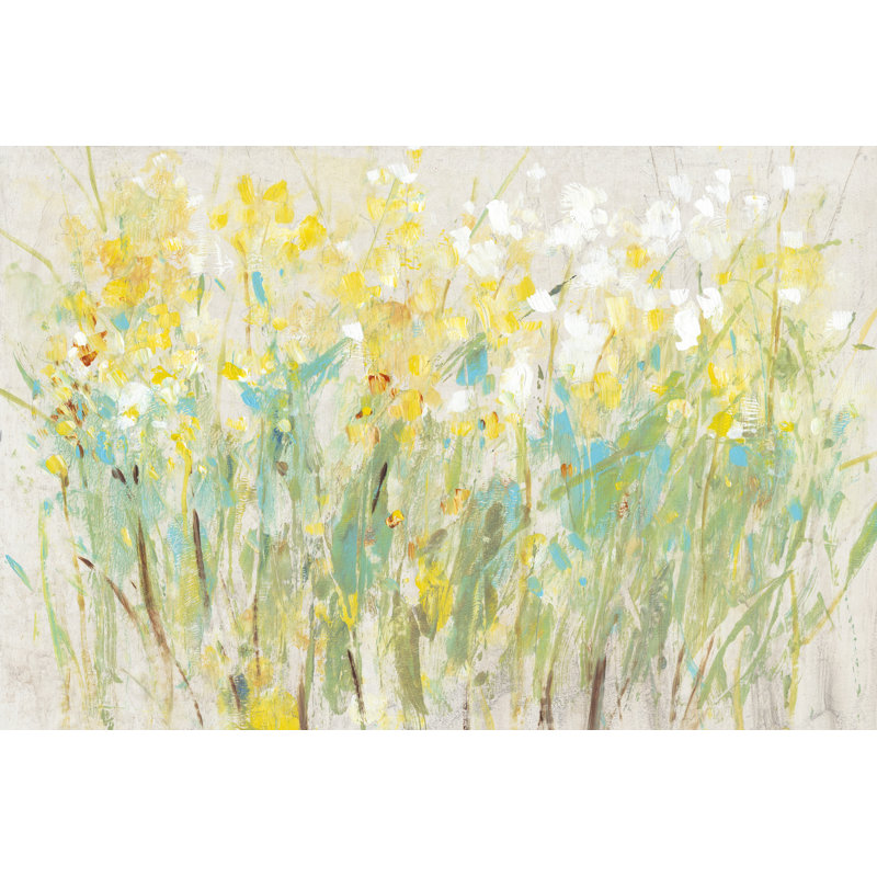 Floral Cluster II by Tim OToole - Wrapped Canvas Painting, 30cm H x 46cm W